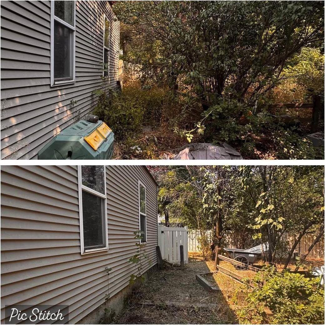 Exterior overgrowth cleared from a property