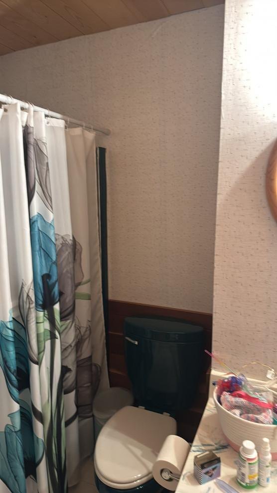 Original shower and toilet before remodel